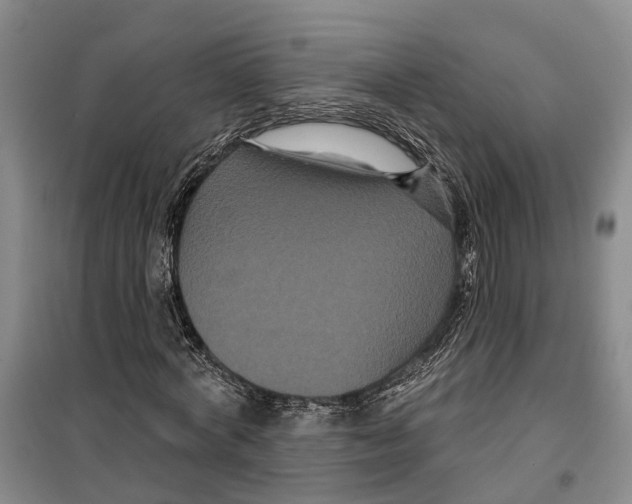 X0000099380772200806051120