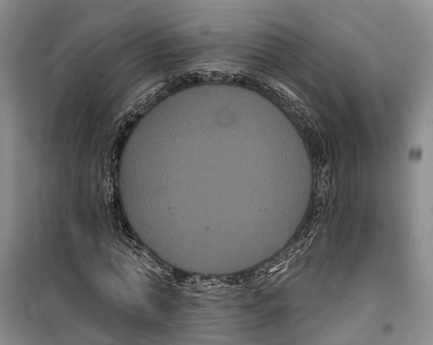 X0000099380774200806051120