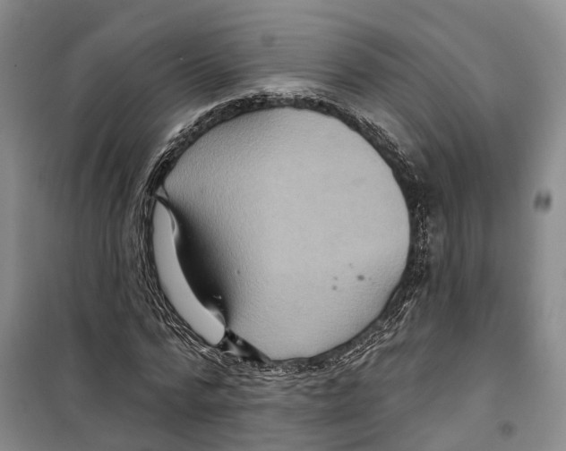 X0000099380776200806051120