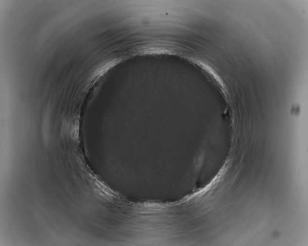 X0000099380777200806051120