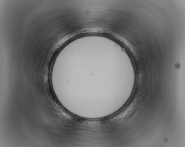 X0000099380778200806051120