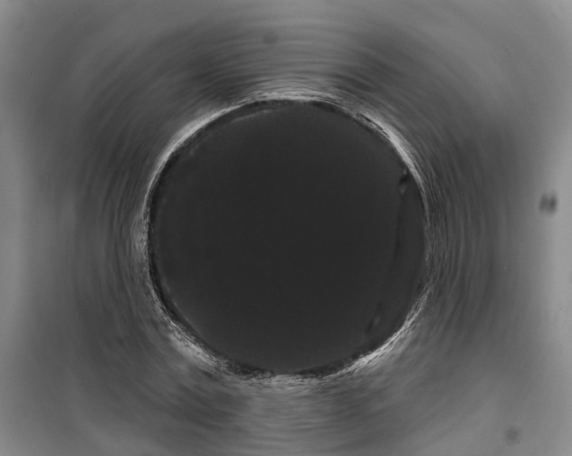 X0000099380779200806051120