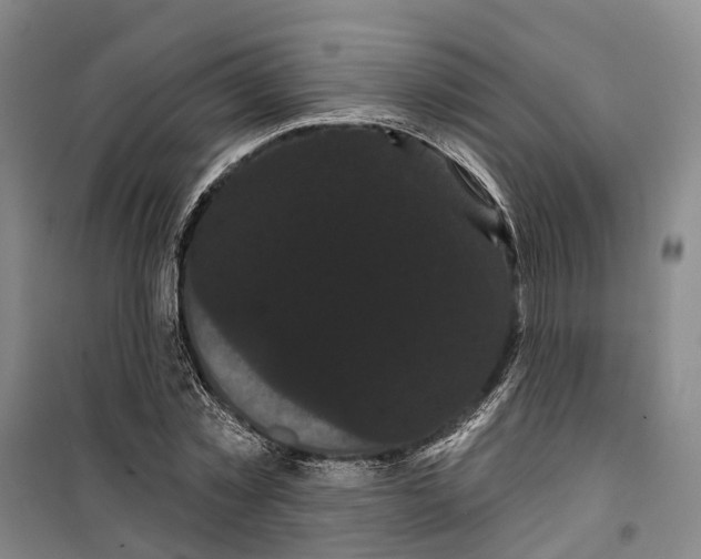 X0000099380781200806051120