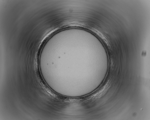 X0000099380782200806051120