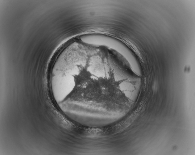 X0000099380784200806051120
