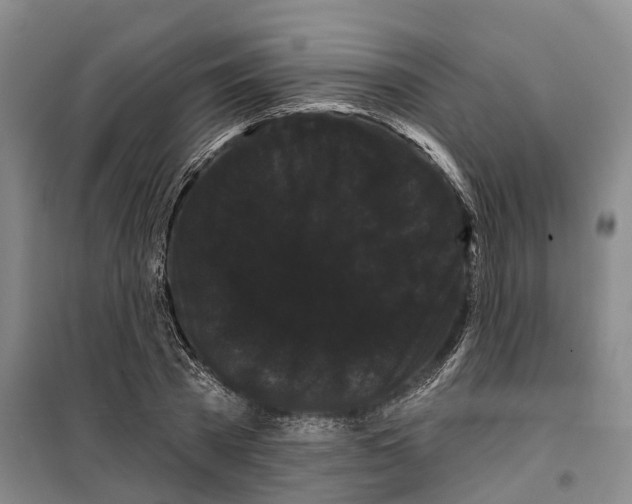 X0000099380785200806051120