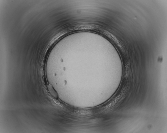 X0000099380786200806051120