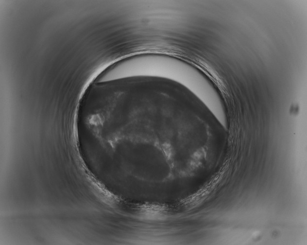 X0000099380788200806051120