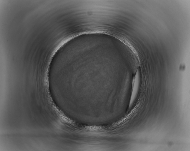 X0000099380789200806051120