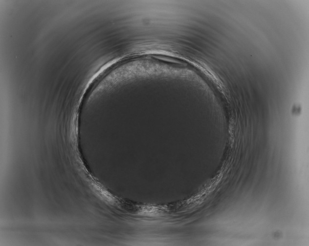 X0000099380790200806051120