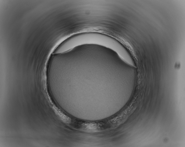 X0000099380792200806051120