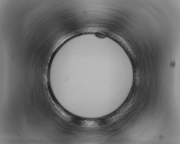 X0000099380794200806051120