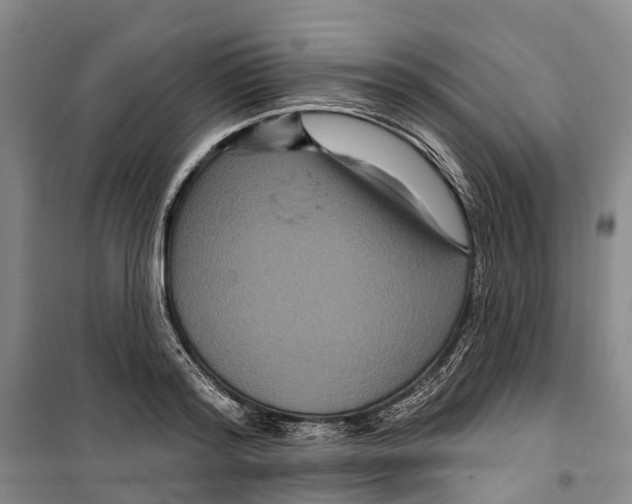 X0000099380796200806051120