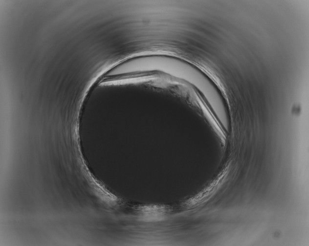 X0000099380797200806051120