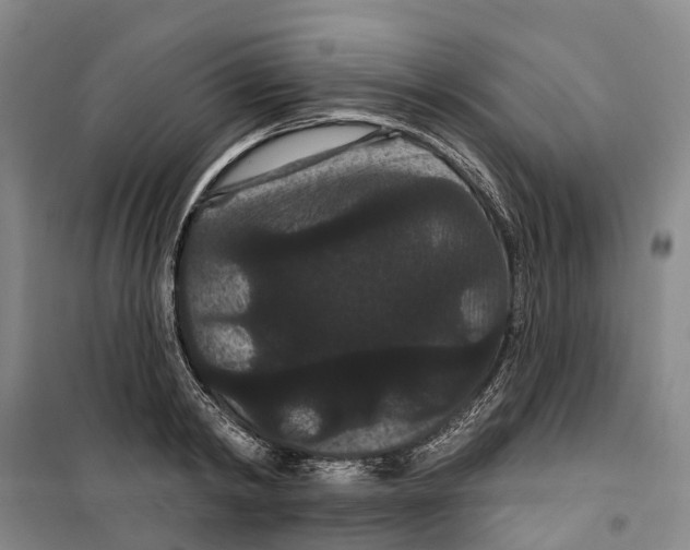 X0000099380798200806051120