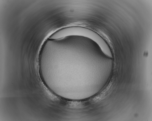 X0000099380800200806051119