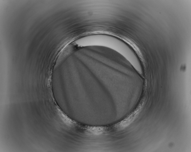 X0000099380801200806051119