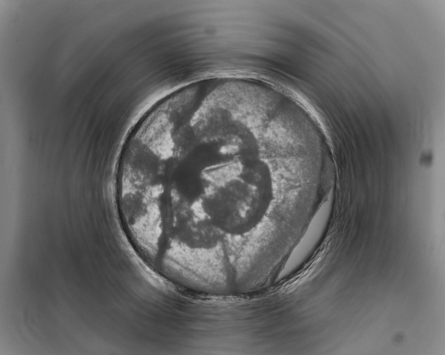 X0000099380803200806051119