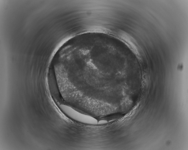 X0000099380804200806051119