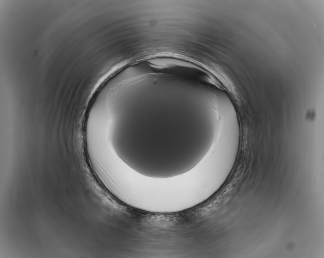 X0000099380806200806051119