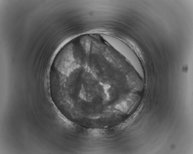 X0000099380808200806051119