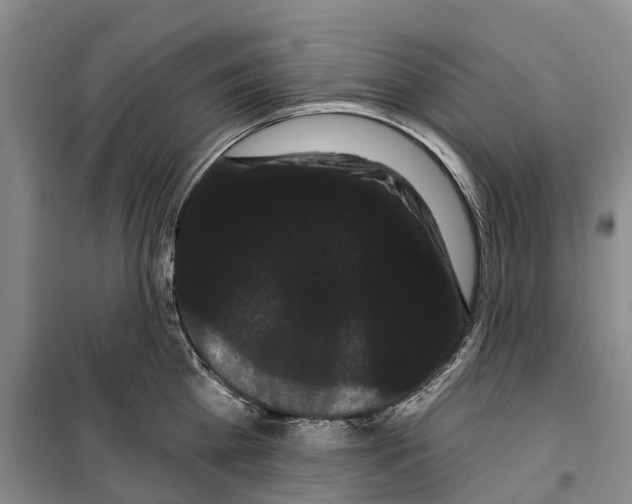 X0000099380809200806051119