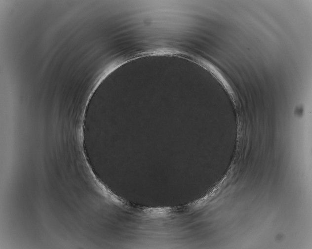 X0000099380810200806051119