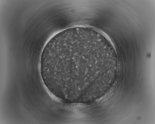 X0000099380811200806051119