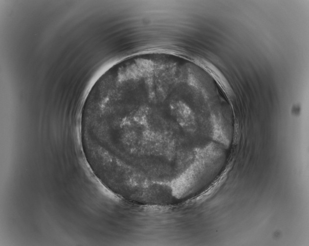 X0000099380812200806051119