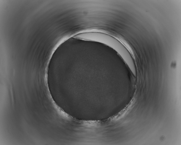 X0000099380813200806051119