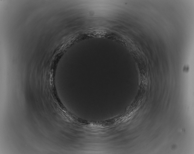 X0000099380818200806051119