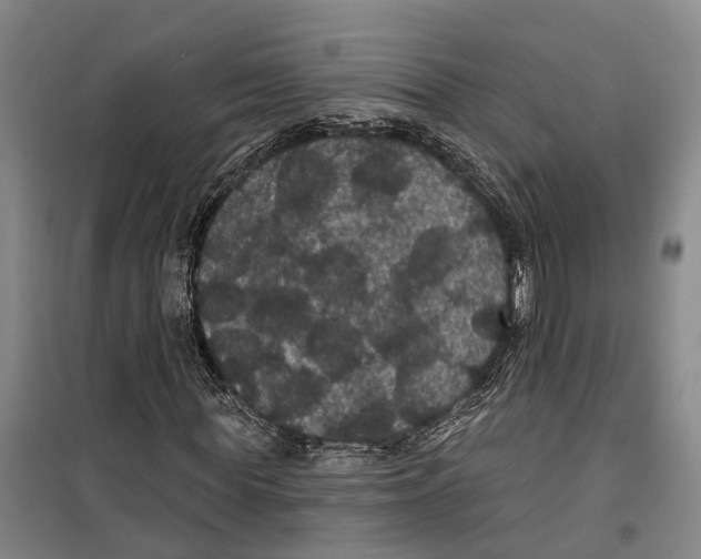 X0000099380819200806051119