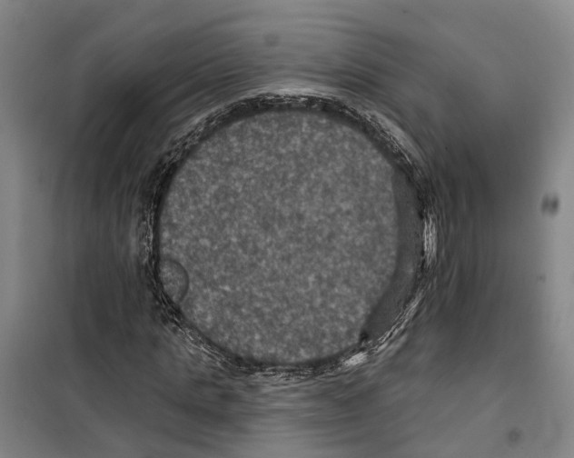 X0000099380821200806051119