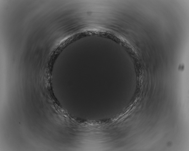 X0000099380822200806051119