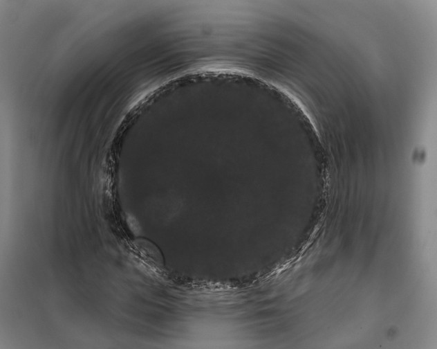 X0000099380823200806051119