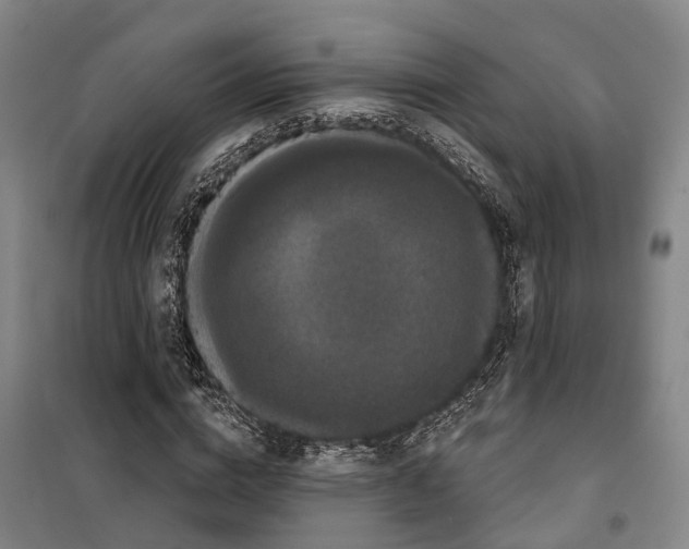 X0000099380824200806051119