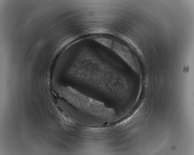 X0000099380825200806051119