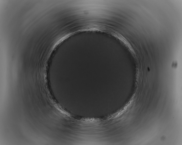 X0000099380826200806051119
