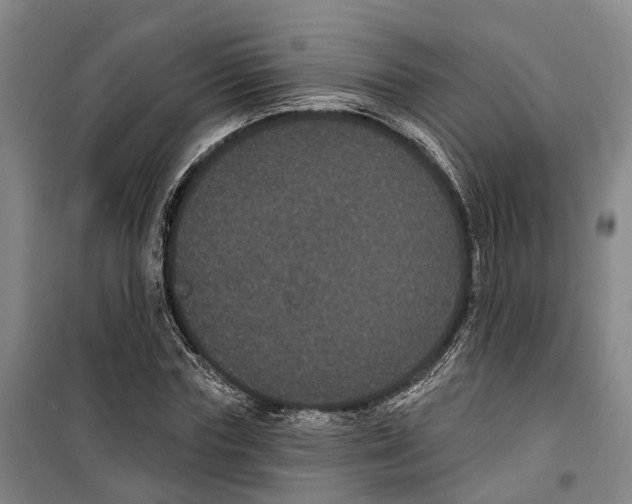 X0000099380827200806051119