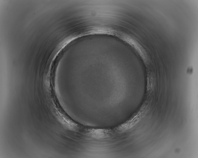 X0000099380828200806051119
