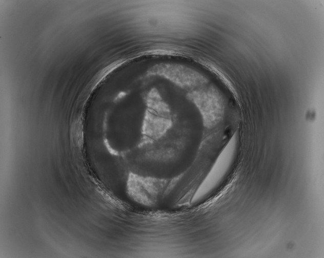 X0000099380829200806051119