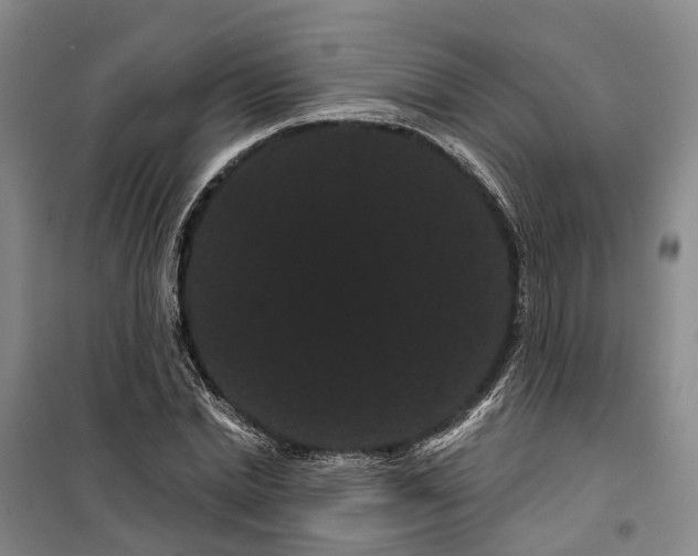 X0000099380830200806051119