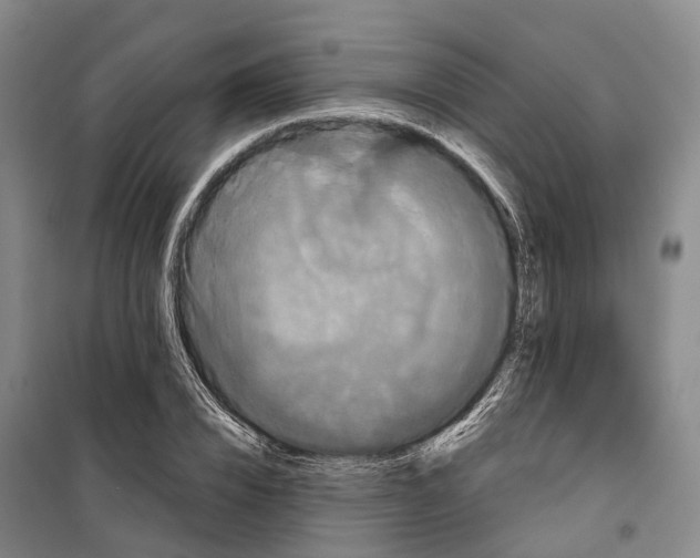X0000099380832200806051119