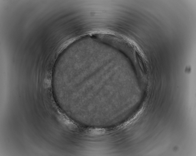 X0000099380833200806051119