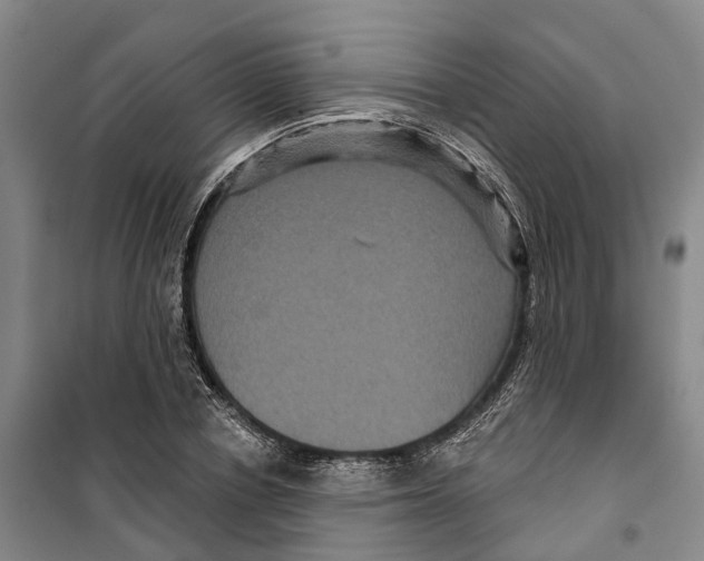 X0000099380834200806051119