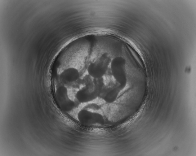 X0000099380835200806051119