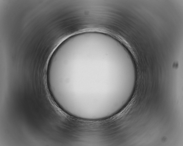 X0000099380836200806051119