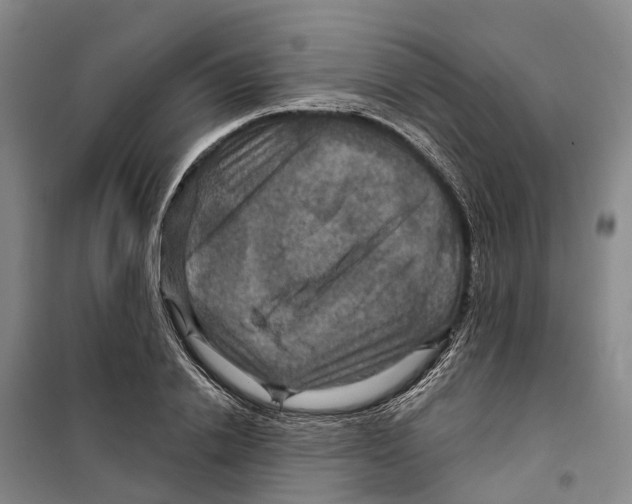 X0000099380838200806051119