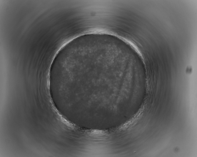 X0000099380839200806051119
