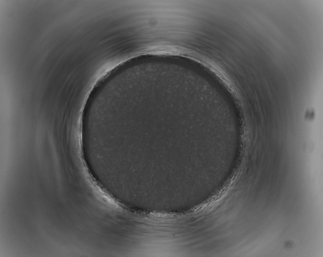 X0000099380840200806051119